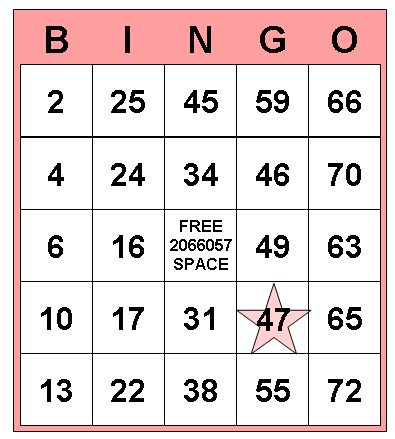 Decorated Bingo Card with Star