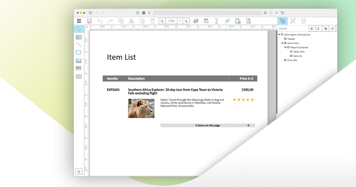 Web Report Designer