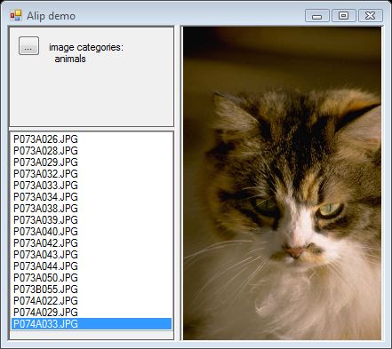 animals