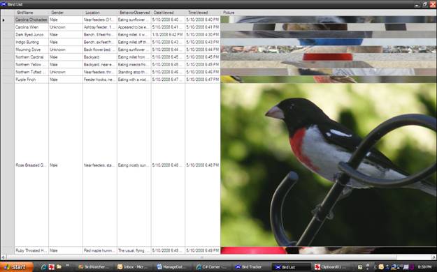 BirdWatcher