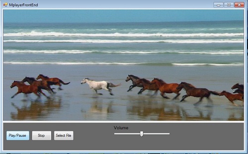 ScreenShot of Demo