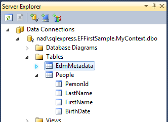 Screen capture of server explorer showing a table People