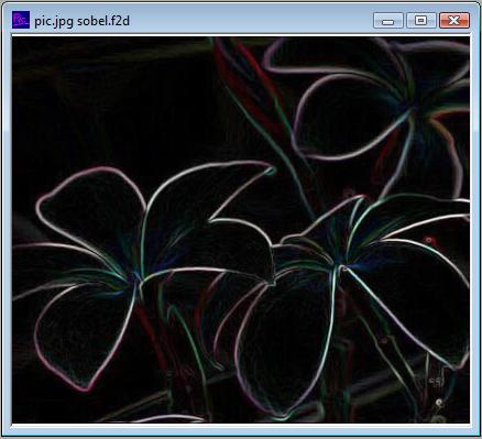 The edges by Sobel filter