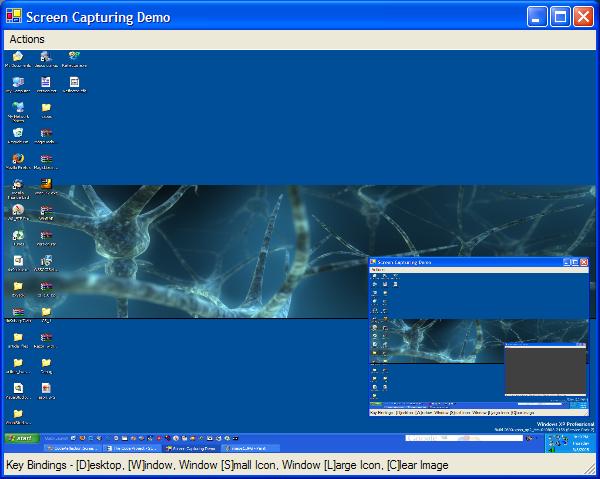 Sample Image - Screen_Capturing2.jpg
