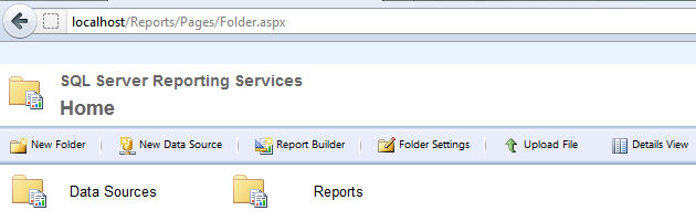 The Report Server Environment