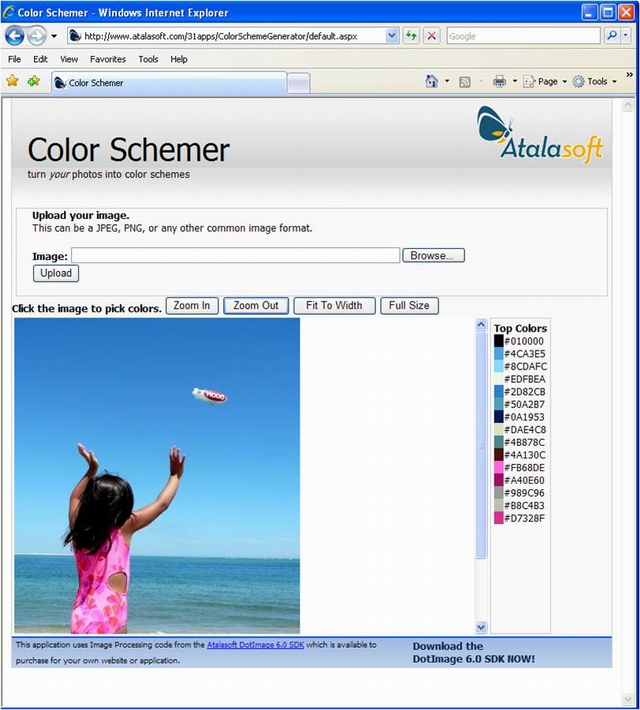 Color Scheme