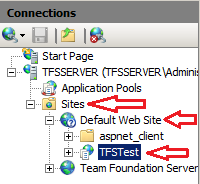 Web Application in IIS