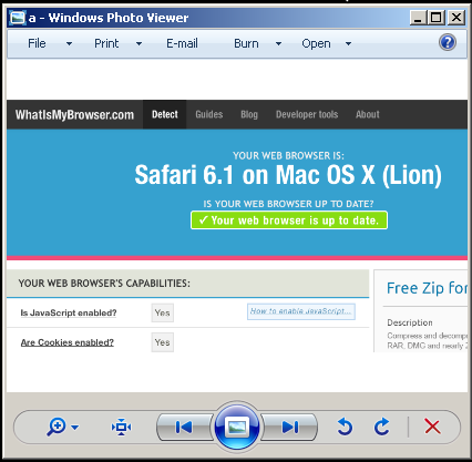 Browser