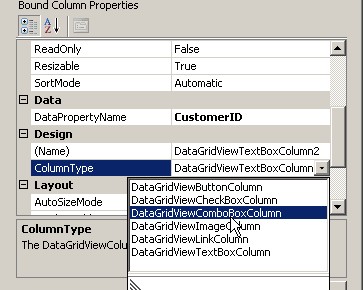 DataGridViewComboBoxColumn