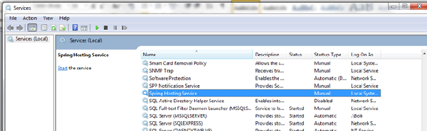 Properties of the service process installer
